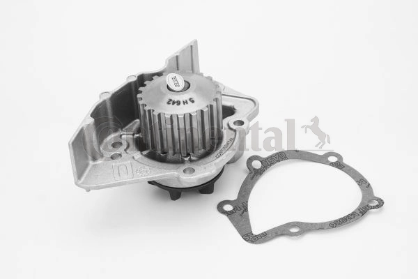 Water Pump, engine cooling